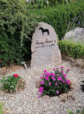 8. august fik vi sten på Annys grav. 
Annys søster Mona og Sv.Jørgen og Kirsten og jeg var tilstede. Vi fik placeret stenen og gjort lidt pænt med blomster og ærtesten.